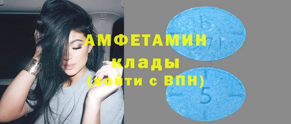 шишки Алзамай