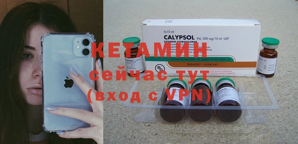 шишки Алзамай