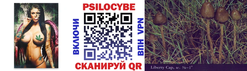 мега как зайти  Орёл  Галлюциногенные грибы Psilocybine cubensis 