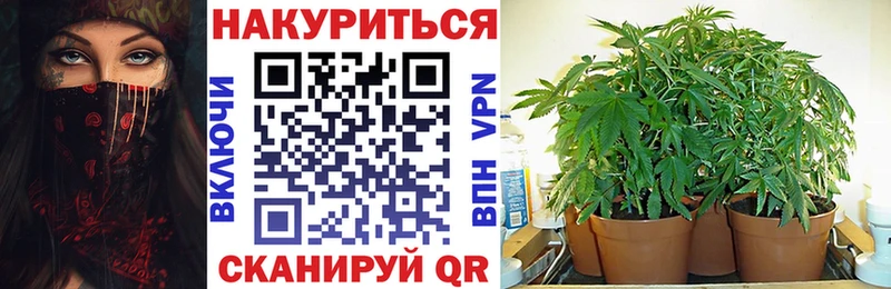 Марихуана сатива  Орёл 